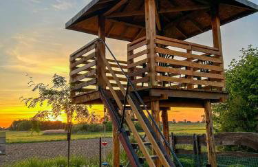 Siedlisko Wasilkowo. Odpoczynek na wsi - Foto 31