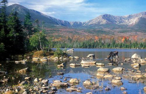 Homey Cabin Rentals Nestled in Nature along Kennebec River, Maine - Foto 7