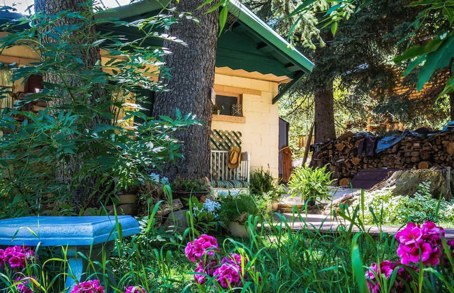 Cottage on the Stream - Photo 3