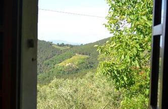 Il Rustico Vicopisano - Foto 9