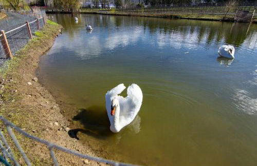 Paschal Winery - Water's Edge - Foto 12