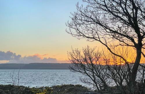 The Green - Photo 14