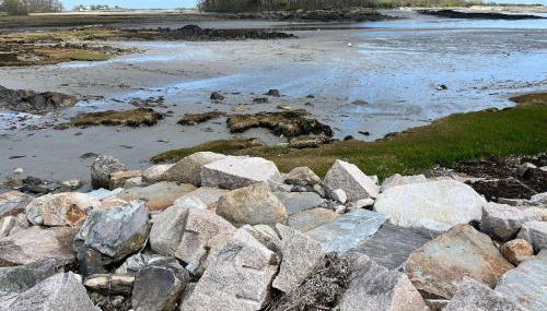 Thisgood Cove on Turbats Creek - Foto 5