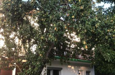 Guesthouse D&D - Foto 52