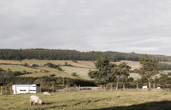 The Grainary Cottages - Foto 15