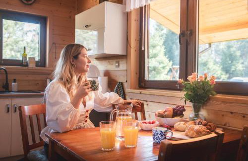 Leśna 21 Dom Północ przy PUSZCZA BIAŁOWIESKA - Foto 33