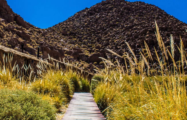 Excursion aux thermes de Puritama - Photo 1