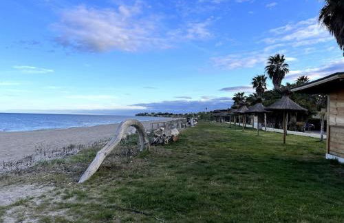 Grand T2 terrasse 27m2 plein sud Folelli centre - Foto 3