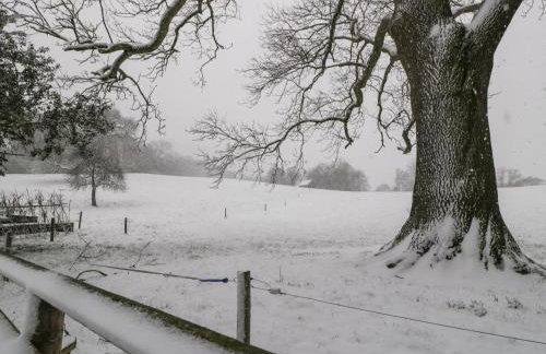 The Old Rectory - Foto 54