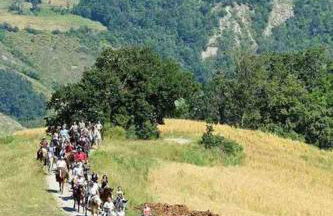 Villetta immersa nel verde - Foto 53