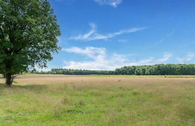 House in Hunzebergen Near Forest Trails - Foto 45