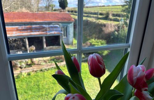 Cargibbitt Annexe - Foto 6