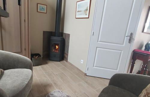 Le gite de l'ile du Buzet - Photo 21