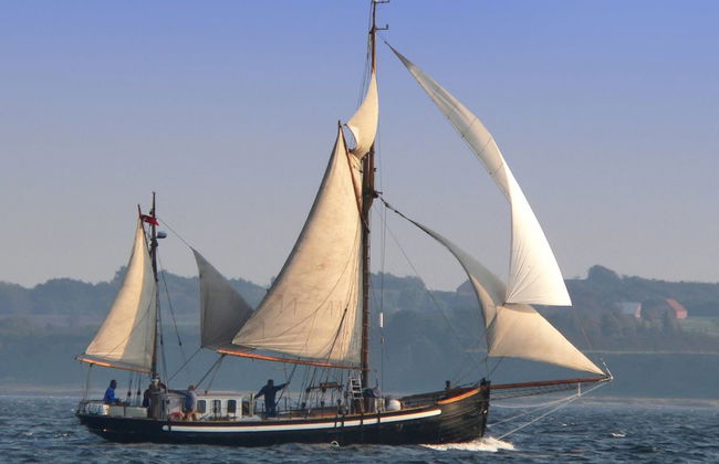 "Rina" - 30m to the fjord - Foto 23