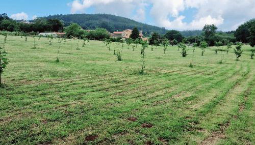 Casa 1 LarSanAdrian - Foto 3