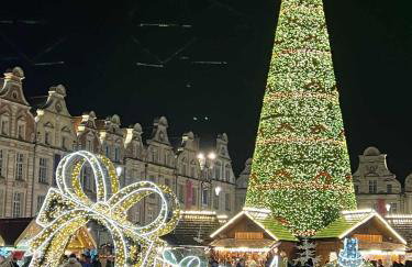 Joli appartement au pied du beffroi - Foto 20