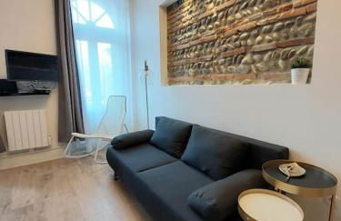 Toulouse centre Compans Caffarelli Superbe Studio - Foto 11