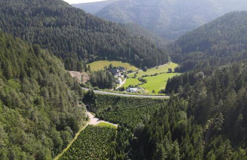 Waldbauernhof - Photo 42