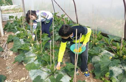 Masseria Case Damma - Photo 78