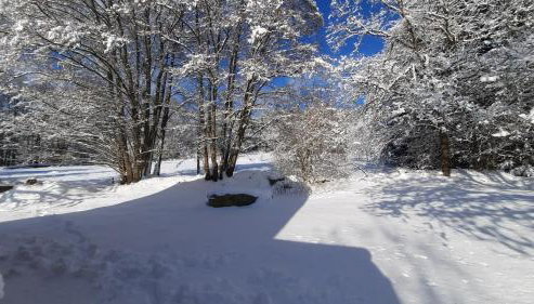 raum14 - Photo 4, Garden view