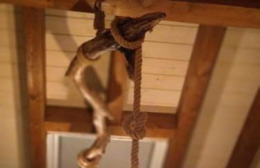 Casa Rural Tierra y Madera - Foto 57