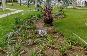 Condado Aldeia dos Reis - Foto 44