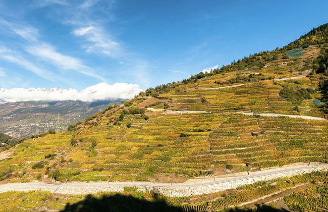 Mountain View Holiday Home in Binntal near Lengtal Deck - Foto 21