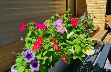 Unique Caravan with Outdoor Space - Foto 39