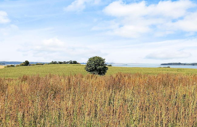 6 Person Holiday Home in Faaborg-by Traum - Foto 7