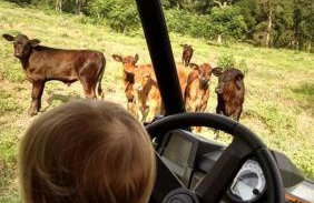 Lovely Cottage Rental with Waterfall on San Gabriel River near Austin, Texas - Foto 28