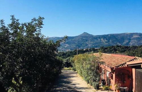 Agriturismo Su Barraccu - Foto 24