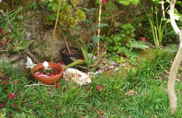 Eira do vento - Foto 41