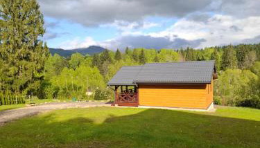 Mały Domek DOMARKA w BIESZCZADACH - Foto 2