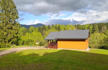 Mały Domek DOMARKA w BIESZCZADACH - Foto 2