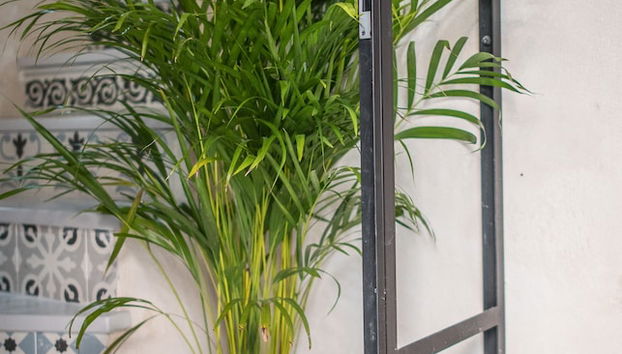 Entrada (vista interior)