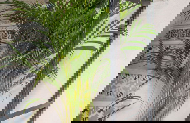 Rey de Sevilla Flats Dúplex Museo - Foto 2