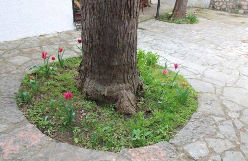 Raise Polydrosos Traditional Getaway - Foto 17