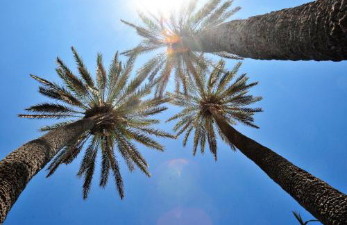 Cornelia Hippie Magic Bus - Foto 45