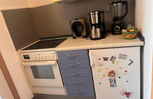 Gemütliche, sonnendurchflutete Ferienwohnung in Bodenseenähe am Säntisblick - Foto 20