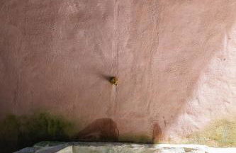 Incrível Casa Colonial-Déco - Centro Histórico - Foto 55