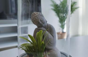 Charming Old Town Apartments - Photo 8