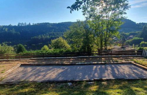 Les Fougères 12 personnes SPA/SAUNA - Foto 25