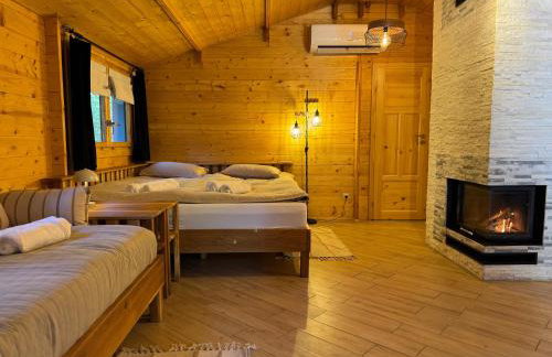 Ackermannia - Foto 65