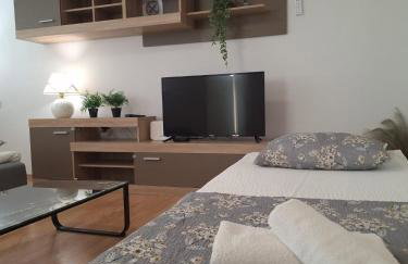 Apartment Banovac - Foto 7