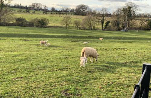 Weatherhead Farm - Foto 23