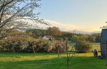 Domek pod borówką - Foto 14