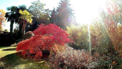 como tavernerio shabby chic bilocale zero smog - Foto 5, Garden, Garden view