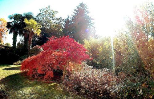 como tavernerio shabby chic bilocale zero smog - Foto 5