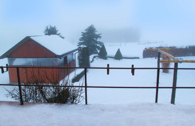 Rokytnice v Orlických horách - Foto 41