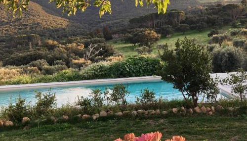 Agriturismo Is Conchisceddas - Foto 2